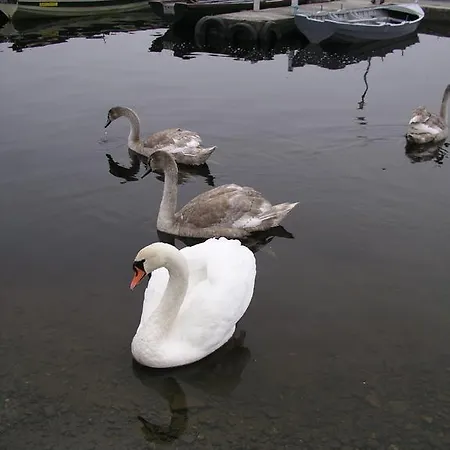 Lakeland Midsummer Lakehouse ベッド・アンド・ブレックファスト