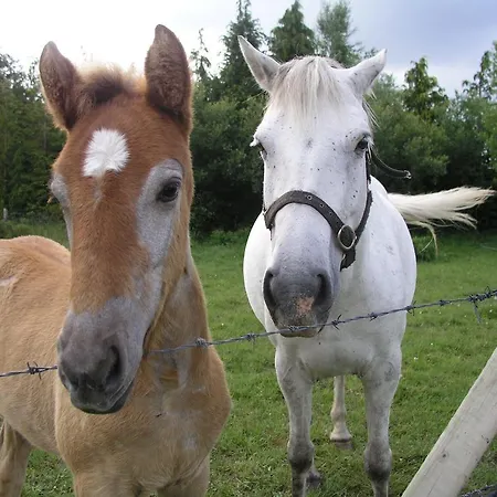 Lakeland Midsummer Lakehouse Bed & Breakfast Oughterard